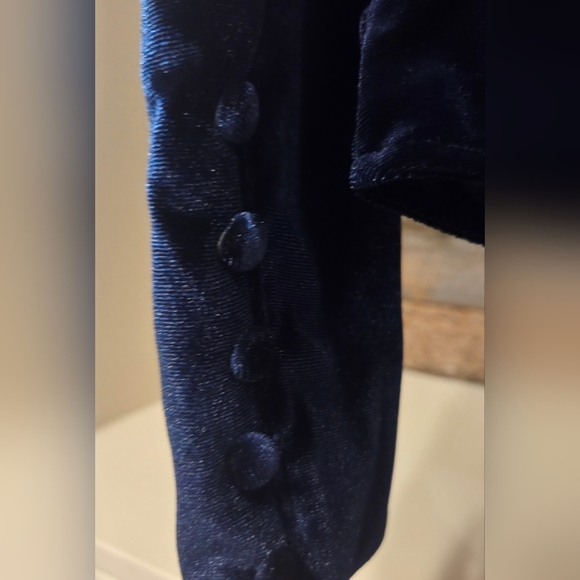 Misa Los Angeles Elegant Blue Velvet Fitted Ruched Bodysuit W/ Puffed Shoulders - Picture 11 of 11